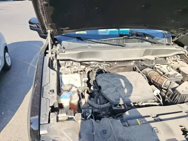 Haval Haval Big Dog 2022 1.5T DCT FWD Border Collie Edition — Фото автомобиля 18