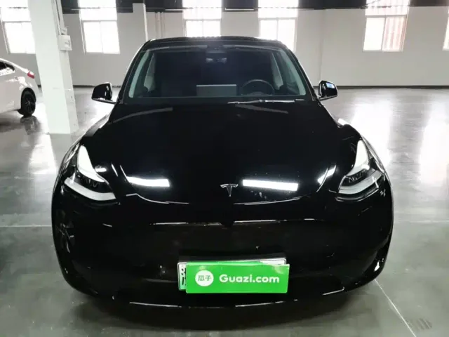 Tesla Model Y — Фото автомобиля 2