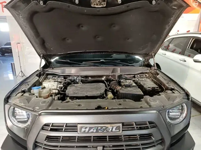 Haval Big Dog — Фото автомобиля 19