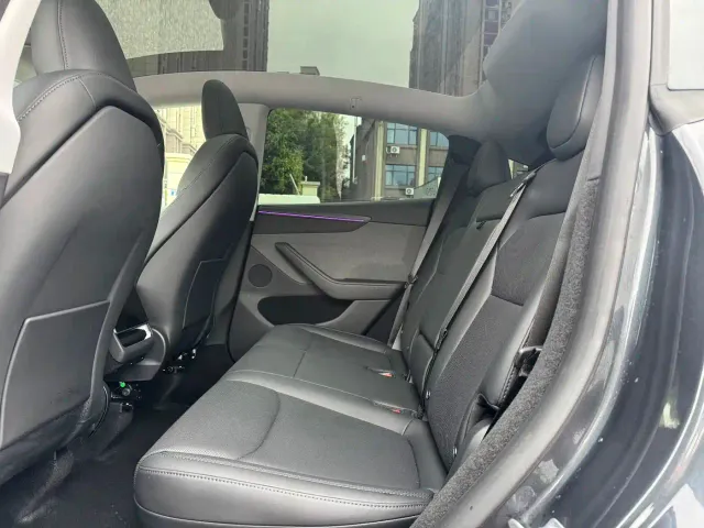 Tesla Model Y — Фото автомобиля 10