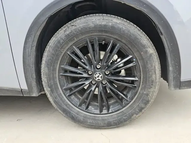 Venucia Venucia Big V 2023 260T Idol Edition Pro — Фото автомобиля 6