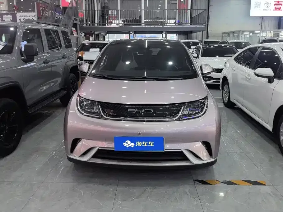 BYD Dolphin 2021 Model 405km Fashion Edition — Фото автомобиля 2