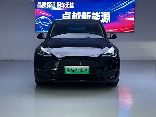 Tesla Model Y — Фото автомобиля 2