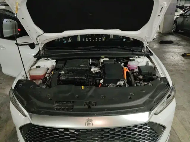 BYD Qin PLUS — Фото автомобиля 21