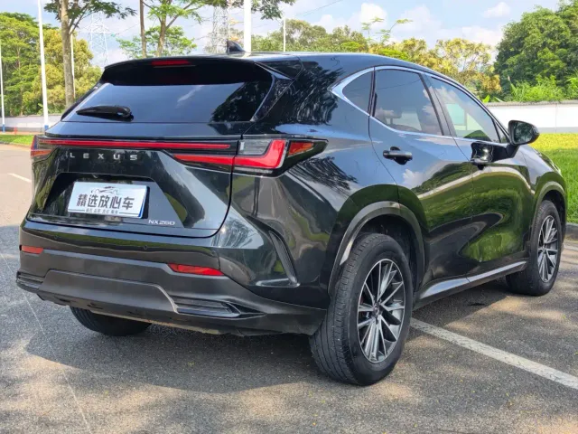 Lexus NX — Фото автомобиля 6