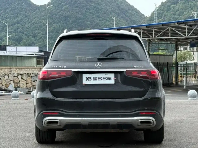 Mercedes-Benz GLS-Class — Фото автомобиля 11