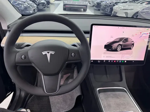 Tesla Model Y — Фото автомобиля 4