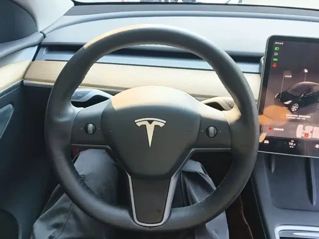Tesla Model Y — Фото автомобиля 10