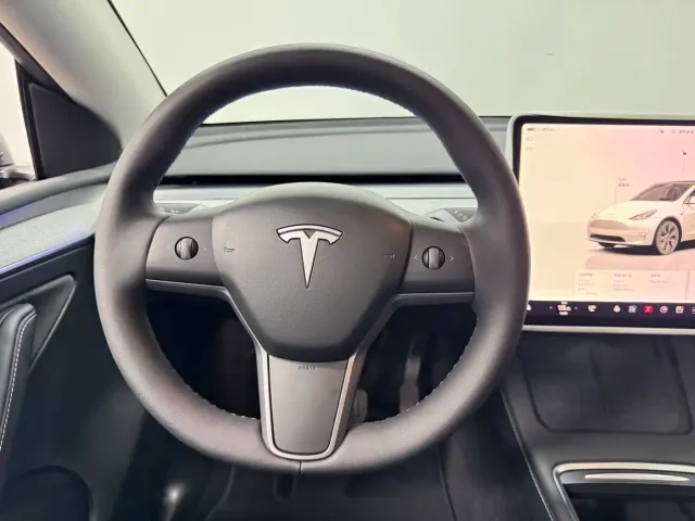 Tesla Model Y — Фото автомобиля 10