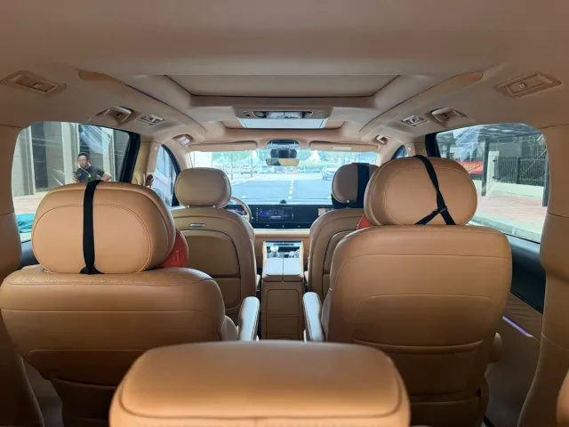 Voyah Auto Voyah Dreamer 2024 PHEV Extended Range Premium Edition — Фото автомобиля 10