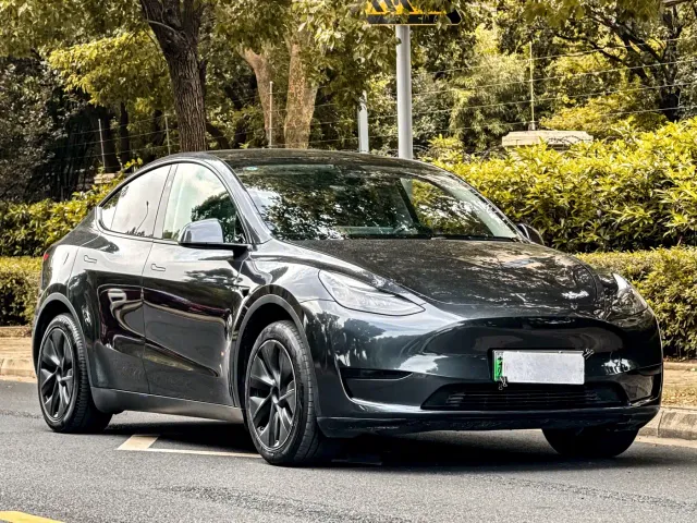 Tesla Model Y — Фото автомобиля 6