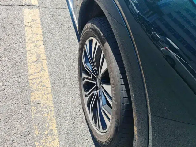 Wey Lanshan — Фото автомобиля 6