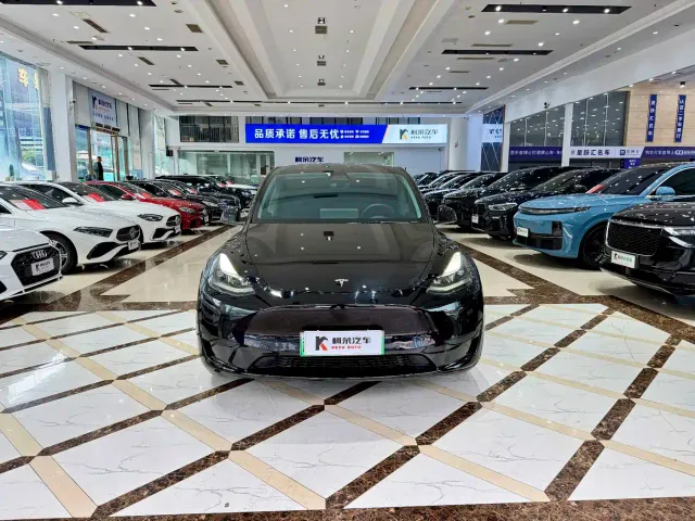 Tesla Model Y — Фото автомобиля 3