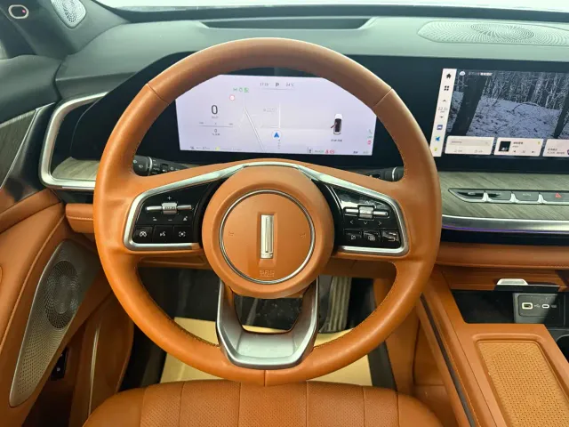 Wey Lanshan — Фото автомобиля 12