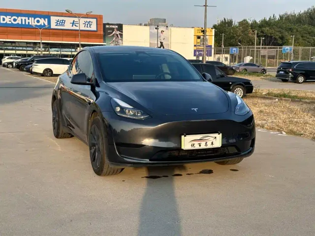 Tesla Model Y — Фото автомобиля 3