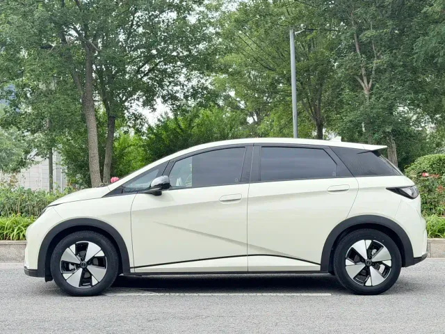 BYD Dolphin — Фото автомобиля 4