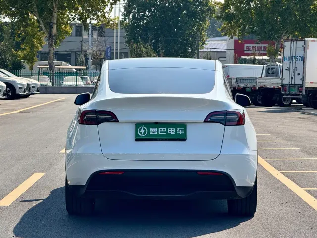 Tesla Model Y — Фото автомобиля 7