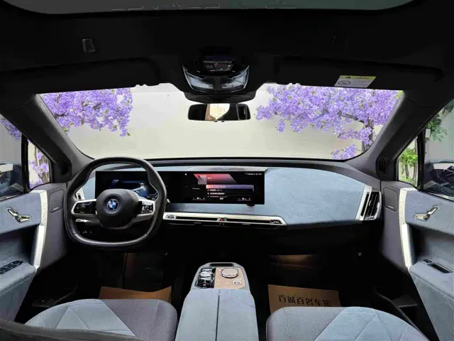 BMW iX — Фото автомобиля 13