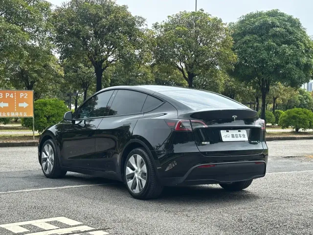 Tesla Model Y — Фото автомобиля 7