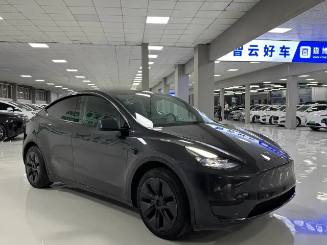 Tesla Model Y — Фото автомобиля 3