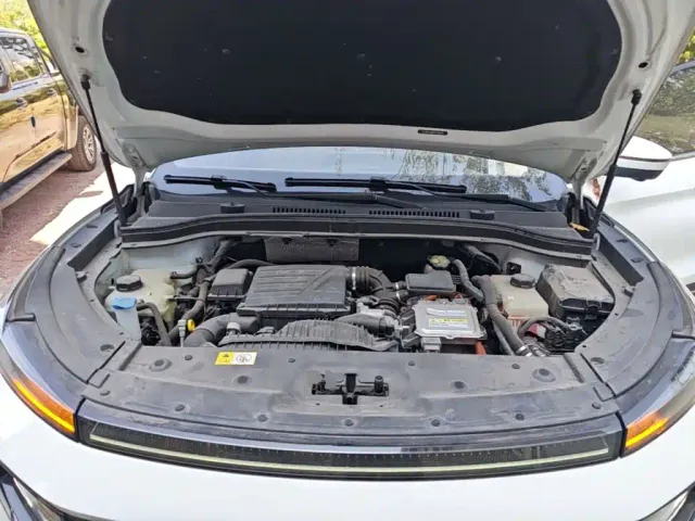 JAC Motors JAC QX PHEV — Фото автомобиля 19