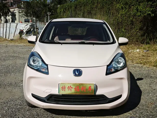 Фотография автомобиля — Changan Benben E-Star