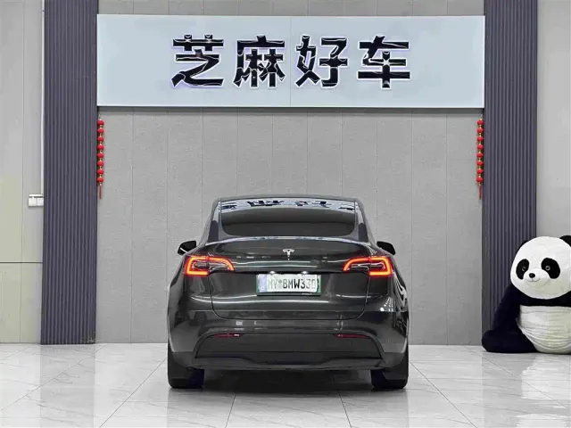Tesla Model Y — Фото автомобиля 5