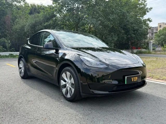 Tesla Model Y — Фото автомобиля 3