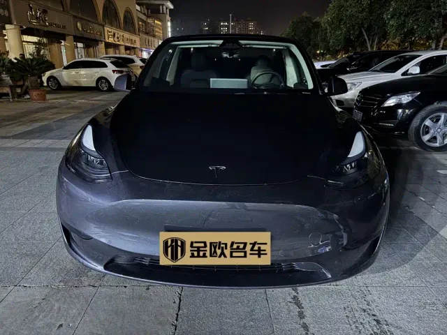Tesla Model Y — Фото автомобиля 2