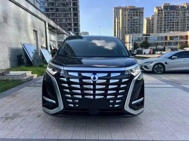 Denza D9 — Фото автомобиля 2