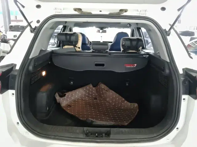 Chery Tiggo 7 PLUS — Фото автомобиля 18