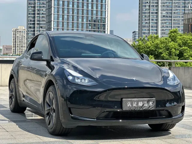 Tesla Model Y — Фото автомобиля 3
