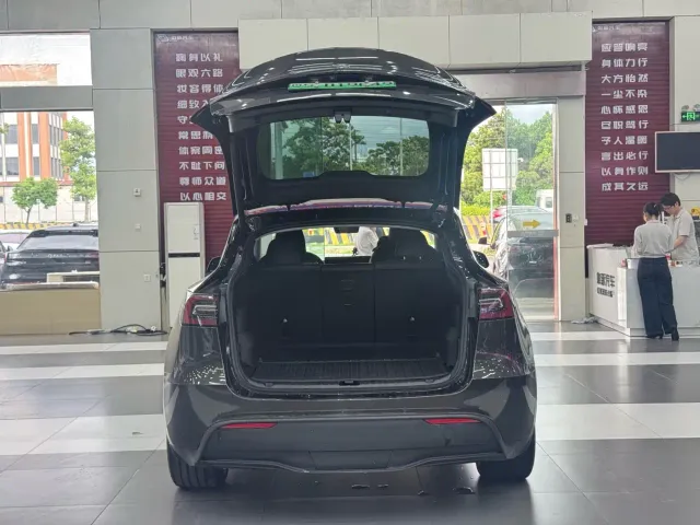 Tesla Model Y — Фото автомобиля 9