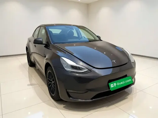 Tesla Model Y — Фото автомобиля 3