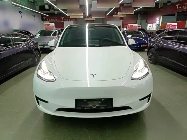 Tesla Model Y — Фото автомобиля 2
