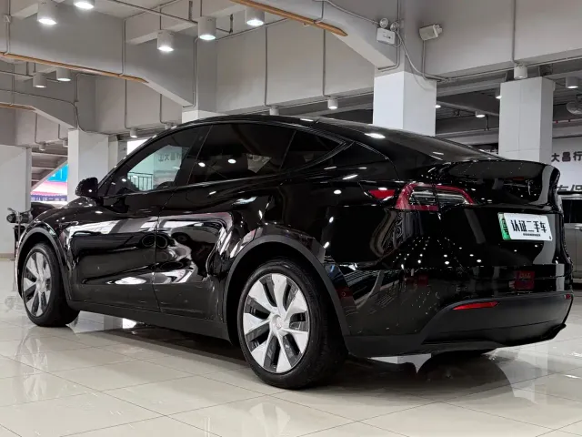 Tesla Model Y — Фото автомобиля 6