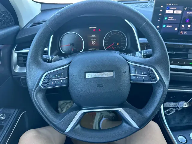 Haval H6 — Фото автомобиля 15