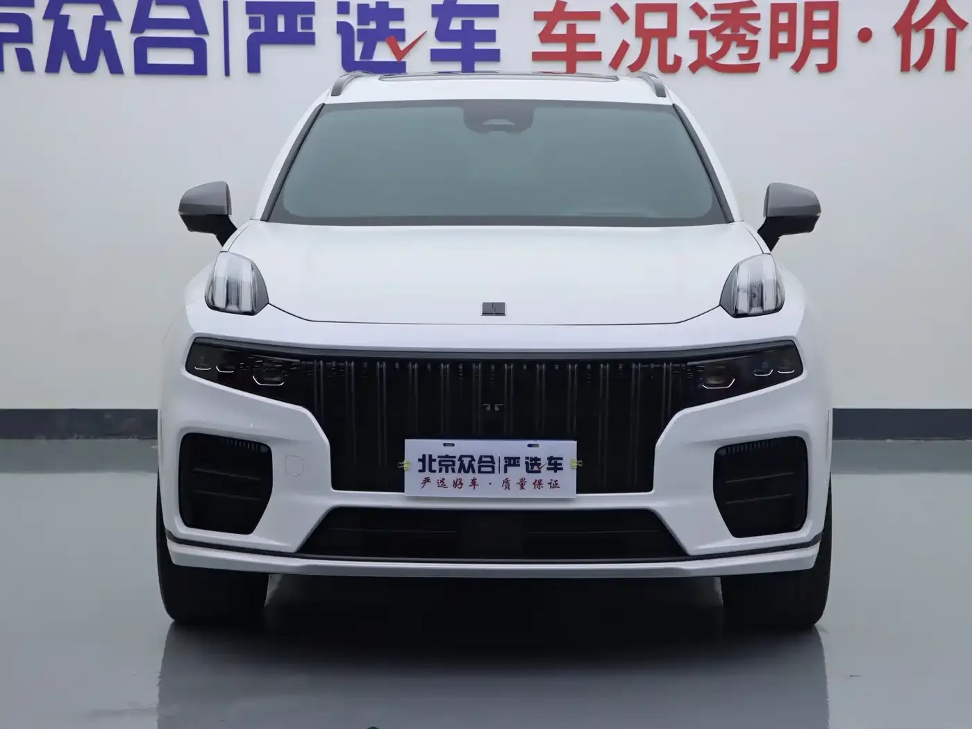 Lynk & Co Lynk & Co 09 2021 2.0T Halo 6-Seater — Фото автомобиля 3
