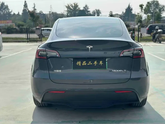 Tesla Model Y — Фото автомобиля 8