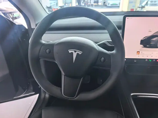 Tesla Model Y — Фото автомобиля 7