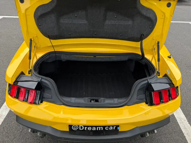 Ford Mustang — Фото автомобиля 24