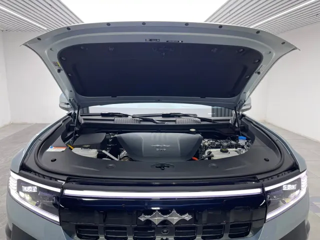 BYD FangChengBao Leopard 8 — Фото автомобиля 9