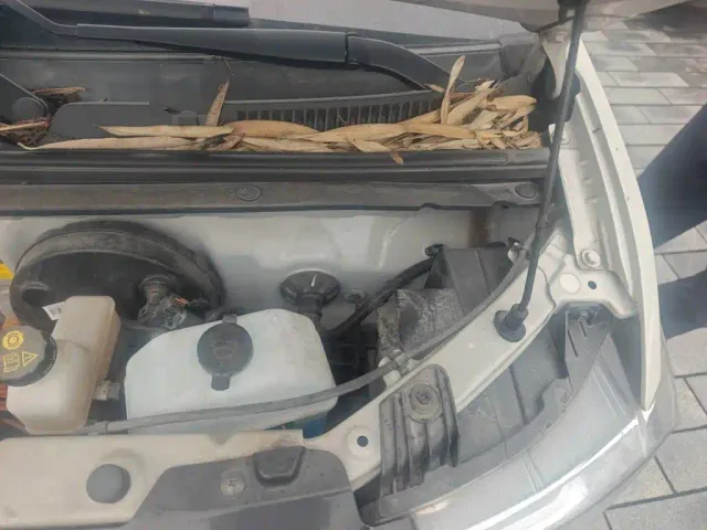 Wuling Hongguang Mini EV — Фото автомобиля 22