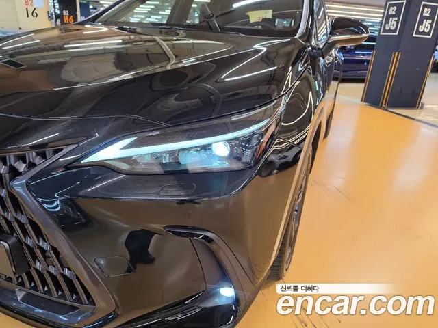 Lexus NX 2nd Gen — Фото автомобиля 17
