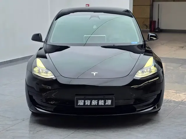 Tesla Model 3 2022 Model Rear-Wheel Drive Version — Фото автомобиля 3