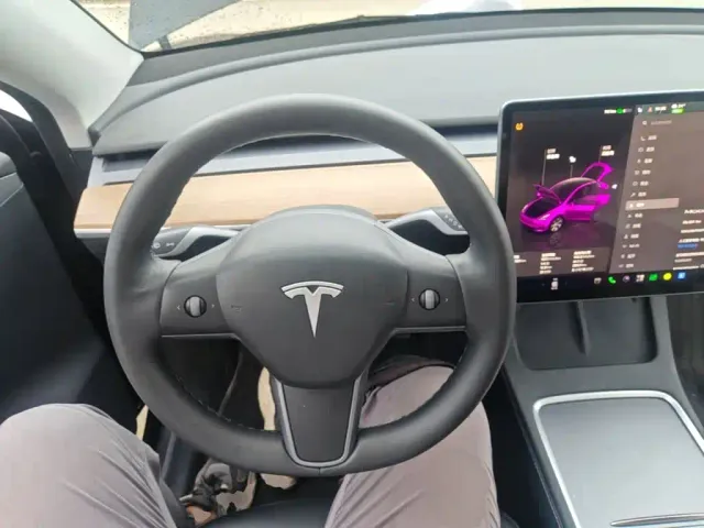 Tesla Model Y — Фото автомобиля 10