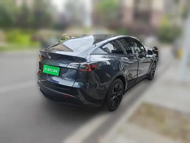 Tesla Model Y — Фото автомобиля 4