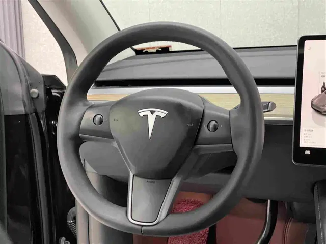 Tesla Model Y — Фото автомобиля 11