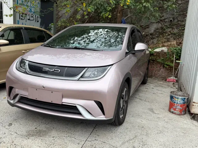 BYD Dolphin — Фото автомобиля 3