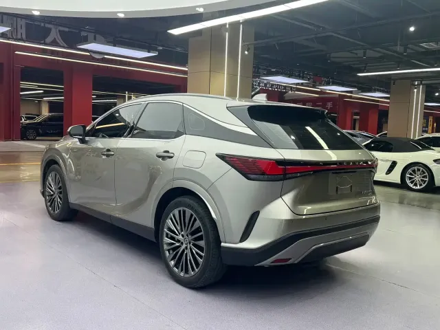 Lexus RX — Фото автомобиля 15
